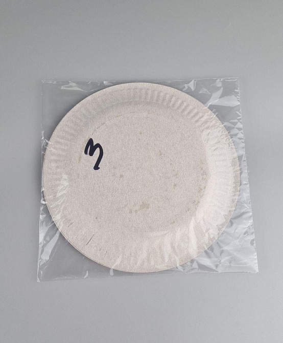 Паперова тарілка з малюнком 18 см "No 3" Півонії візерунок 10 шт (1 пачка) Харків - фото 3