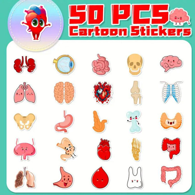 Наклейки органи людини. Водонепроникні вінілові естетичні наклейки для пляшки води, комп'ютера, ноут Київ - фото 4