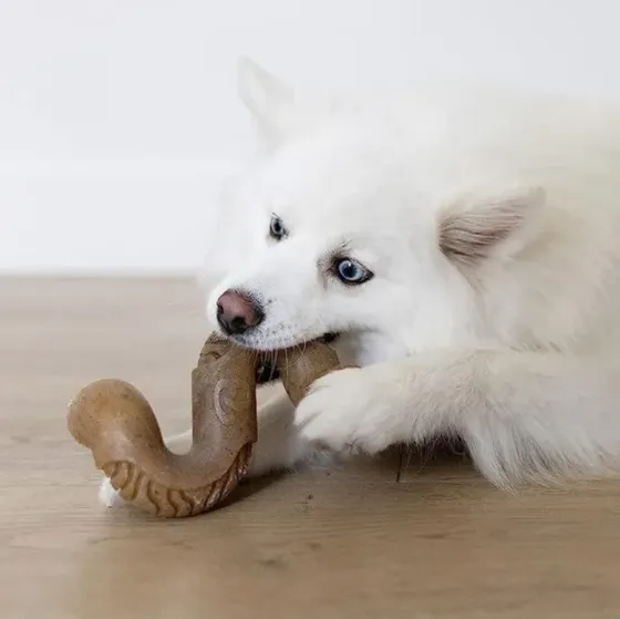 Жувальна іграшка для собак Бенебон Benebone Tripe Bone Beef зі смаком яловичого рубця для собак до 40 кг (розмір L) Вінниця