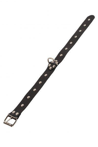 Ошейник Dominant Collar, Black Sex Aura Киев - изображение 3