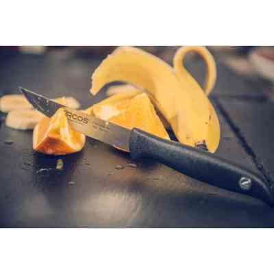 Кухонний ніж Arcos Menorca для овочів 105 мм (145200) Вінниця
