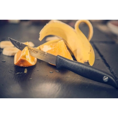 Кухонний ніж Arcos Menorca для овочів 105 мм (145200) Вінниця - фото 3