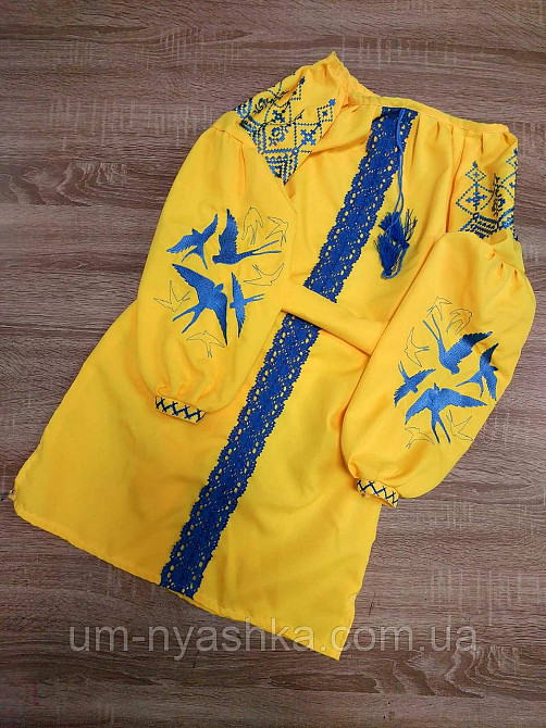 Дитяча вишита сукня з ластівками 104-152 Кривой Рог - изображение 10