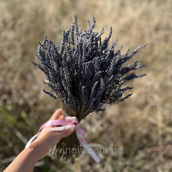 Букет лаванды в подарок Ирпень