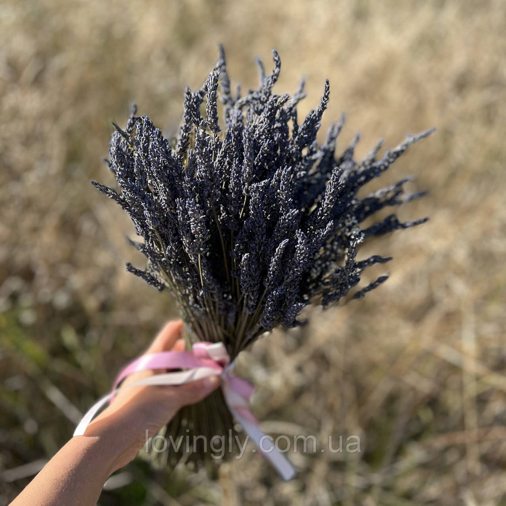 Букет лаванды в подарок Ирпень - изображение 2