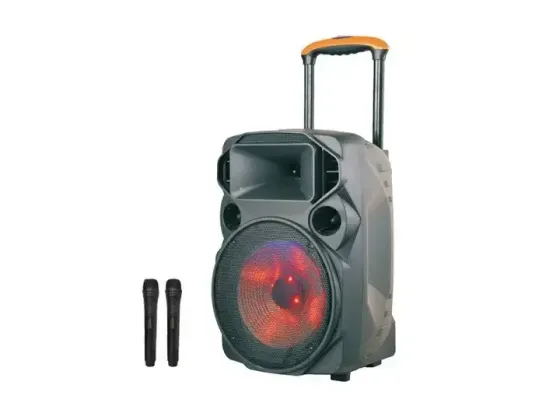 Портативная колонка с двумя радиомикрофонами Su‑Kam SU 615 Коломыя