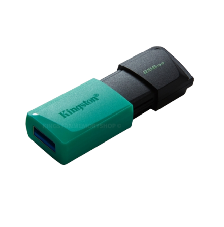 Флешка 256Гб USB 3.2 чорний/бірюзовий DT Exodia M Kingston Житомир
