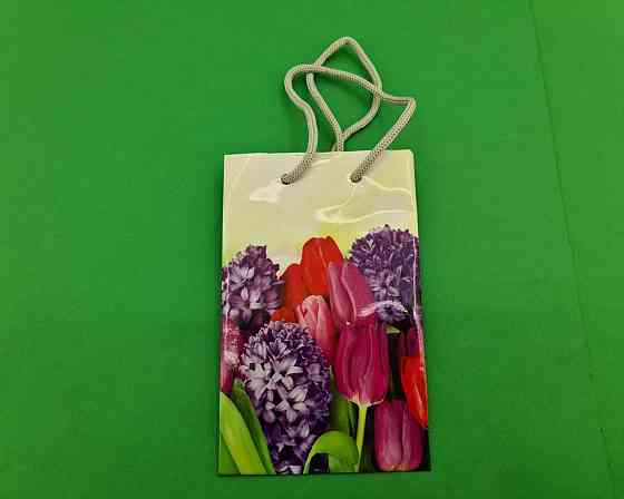 Пакет бумажный подарочный малый 11/18/5(арт М089) (12 шт) Харьков