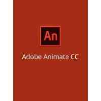 ПЗ для мультимедіа Adobe Animate CC / Flash Professional CC teams Multiple/Multi Lang (65305521CA01A12) Киев