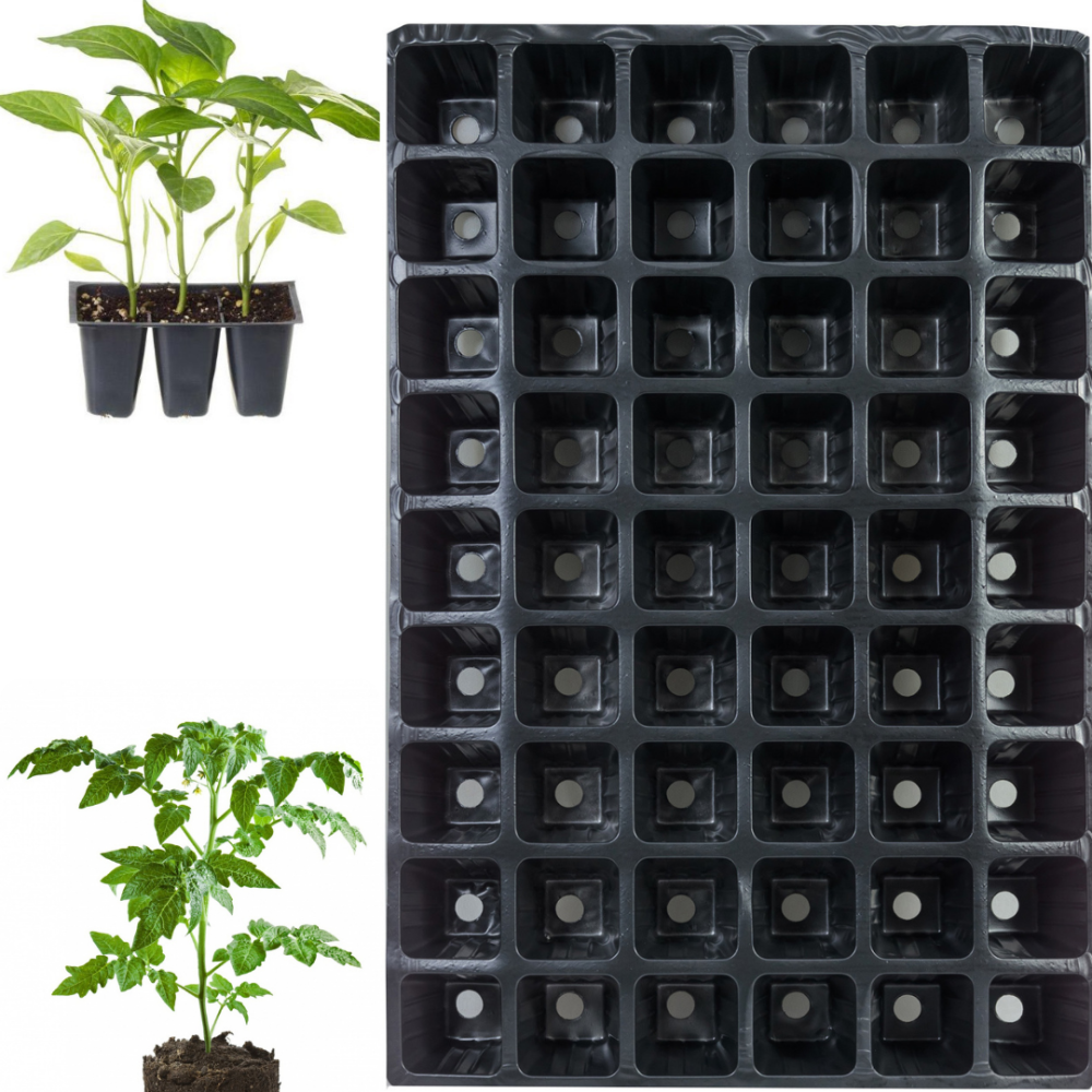 Касета для розсади 60*40 см 54 комірки Дніпро - фото 1