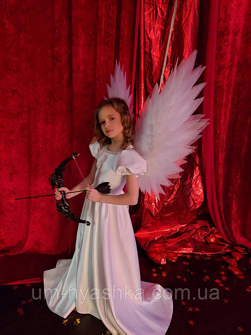 Крылья Ангела большие поднятые Кривой Рог - изображение 10