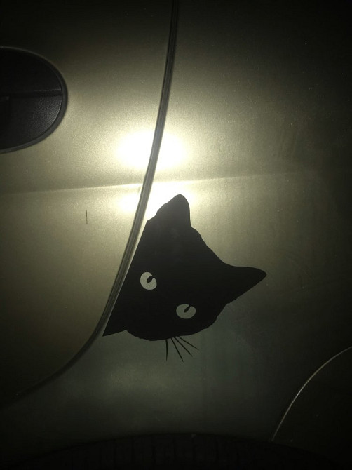 Наклейка на авто Вовк, Кіт, Чорна Київ - фото 4