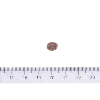 Сухий корм для собак Brit Care Dog Sustainable Adult Small Breed з куркою та комахами 1 кг (8595602558674) Вінниця