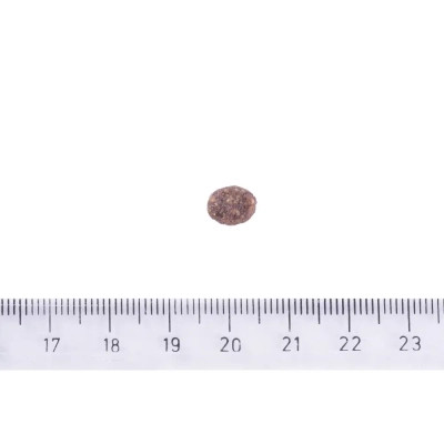 Сухой корм для собак Brit Care Dog Sustainable Adult Small Breed с курицей и насекомыми 1 кг (8595602558674) Винница - изображение 3