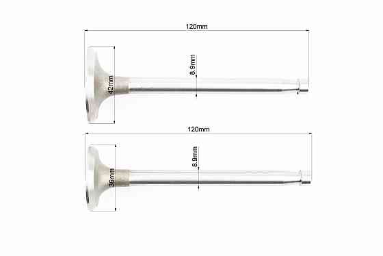 Клапан впускний (h-120; D-42; d-8,9), випускний (h-120; D-36; d-8,9) к-кт ZS1100 Київ