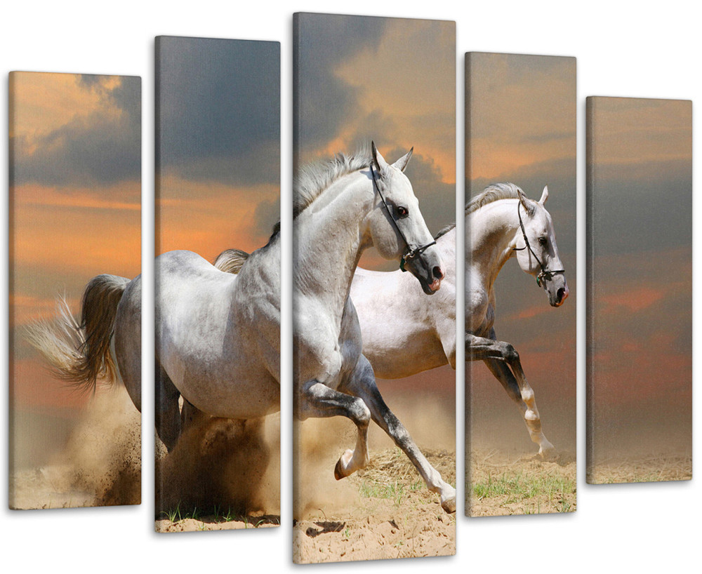 Модульная картина Природа Лошади Art-79_5 Киев - изображение 1