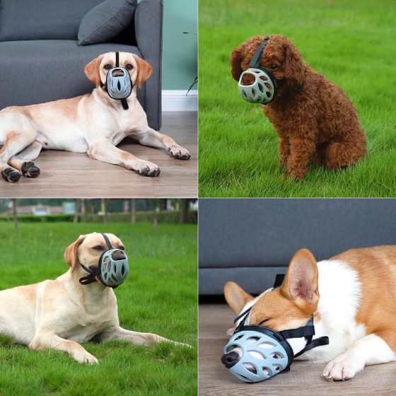 Намордник для собак розмір 3 Луцк