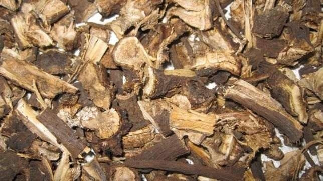 Корінь щавеля кінського (Корень щавеля конского)100г master sem Киев - изображение 1