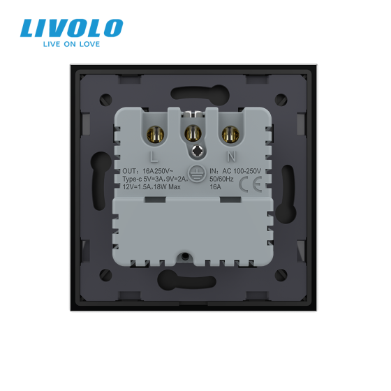 Електрична розетка з USB Type-C 18Вт для зарядки, з заземленням, LIVOLO, чорна, скляна матова рамка, 250В 16А Коломия