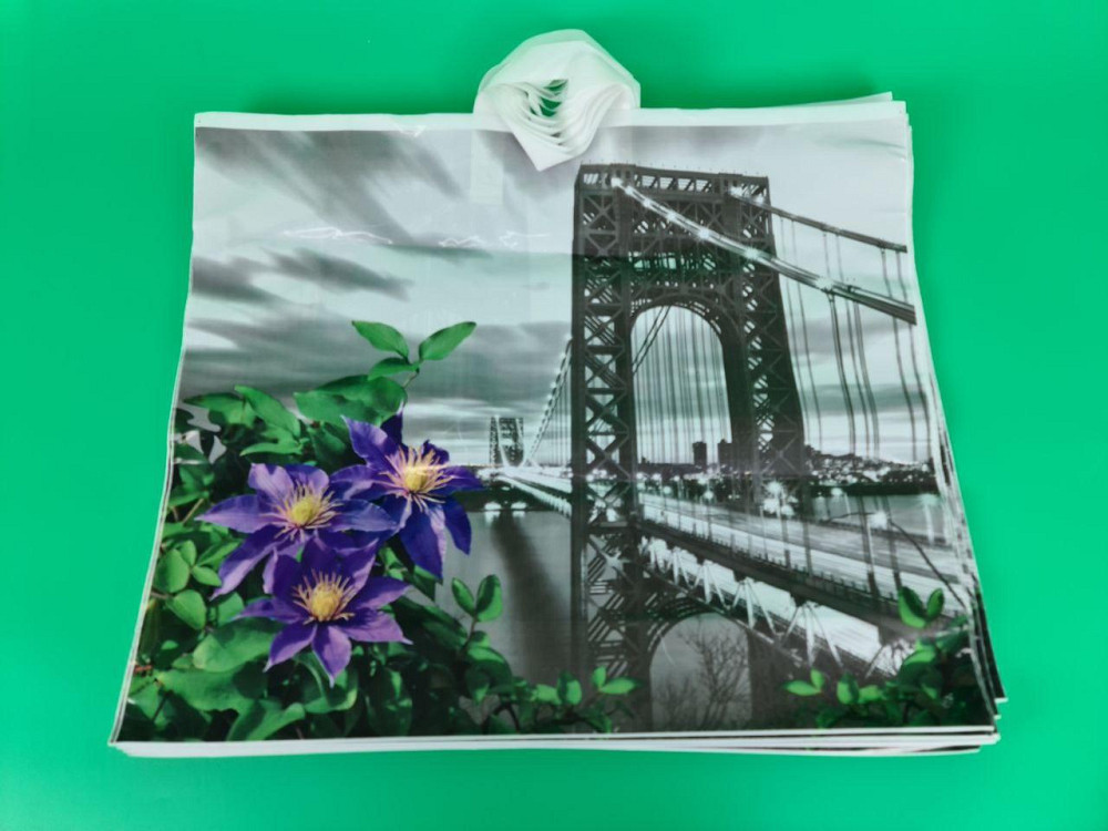 Пакет 60*50 петлевая ручка Мост Комсерв (25 шт) Харьков - изображение 1