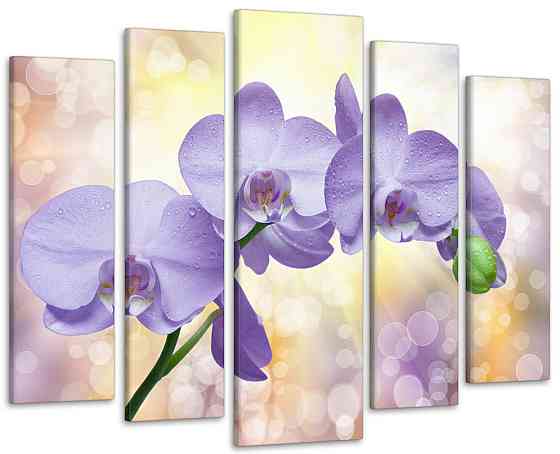 Модульная картина Орхидея Art-338_5 ( 80х118см ) 110x160 см Киев