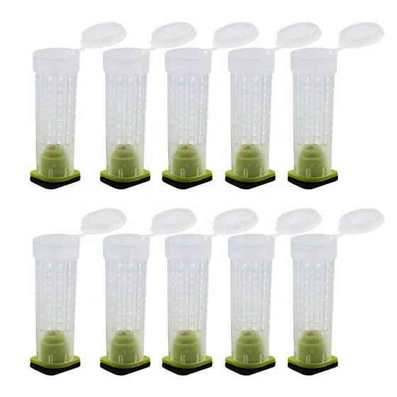 Система Nicot для виведення бджолиних маток 110 комірок, пасковий набір для медицини та матководства Київ