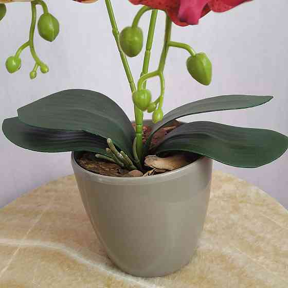 Штучна латексна міні орхідея в сірому пластиковому кашпо на дві гілки жовто-малинова Дніпро