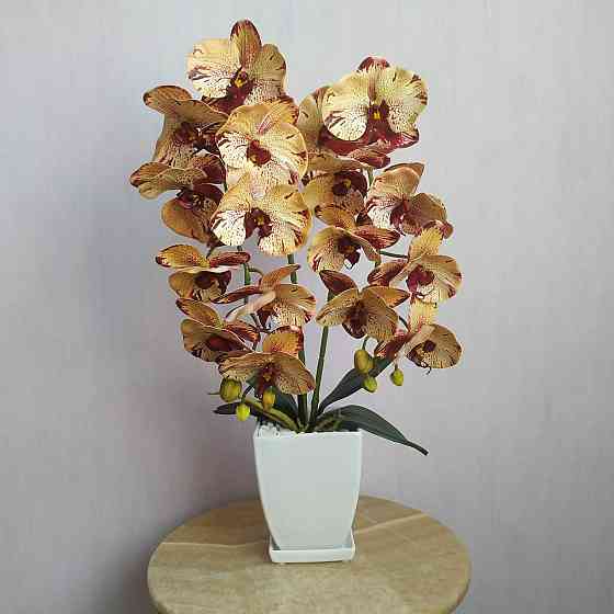 Штучна латексна орхідея VIP у білому керамічному кашпо на дві гілки кремово-бордова. Дніпро