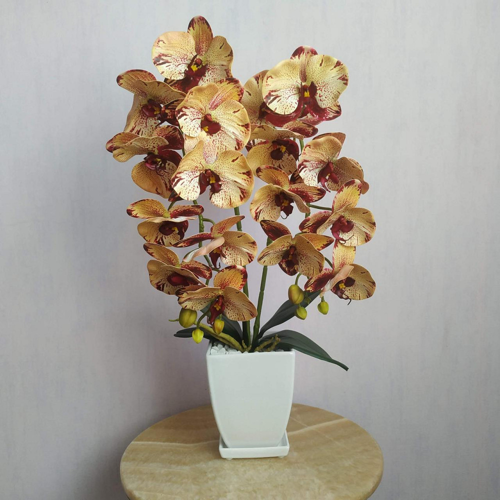 Штучна латексна орхідея VIP у білому керамічному кашпо на дві гілки кремово-бордова. Дніпро - фото 1