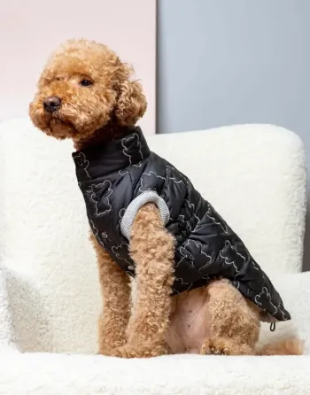 Жилетка для собак м'яка тепла плащівка на синтепоні Dogs Bomba весна на кнопках Ведмедики чорна 7 Одеса