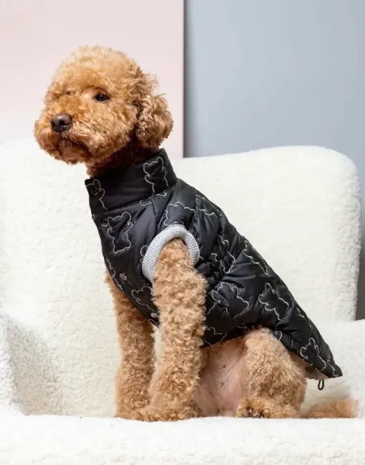 Жилетка для собак м'яка тепла плащівка на синтепоні Dogs Bomba весна на кнопках Ведмедики чорна 7 Одеса - фото 1