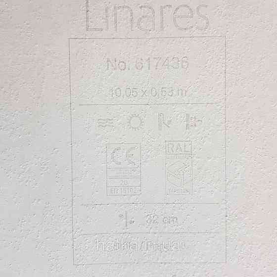 Шпалери вінілові на флізелін Rasch Linares 0.53х10 папороть листя рожеві сірі на білому 617436 Київ