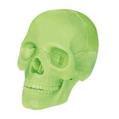 Пазл 4D Master Об&apos;ємна анатомічна модель Череп людини світиться (FM-626113) Вінниця