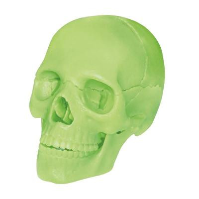 Пазл 4D Master Об&apos;ємна анатомічна модель Череп людини світиться (FM-626113) Вінниця - фото 2