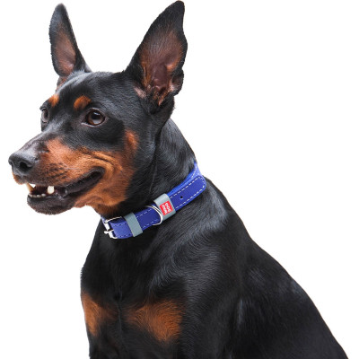 Ошейник для животных WAUDOG Classic кожаный 12 мм х 21-29 см фиолетовый (02029) Винница - изображение 5