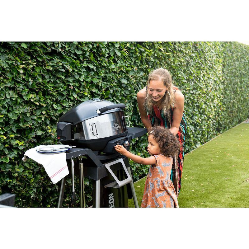 Вертиль для портативных грилей Napoleon серы TravelQ 69282 Код: 010097 Ровно - изображение 3