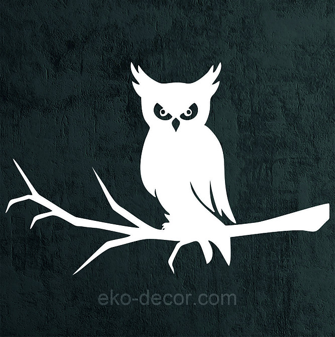 Декоративное настенное Панно «Сова», Декор на стену 110*72 см, Белый Киев - изображение 4