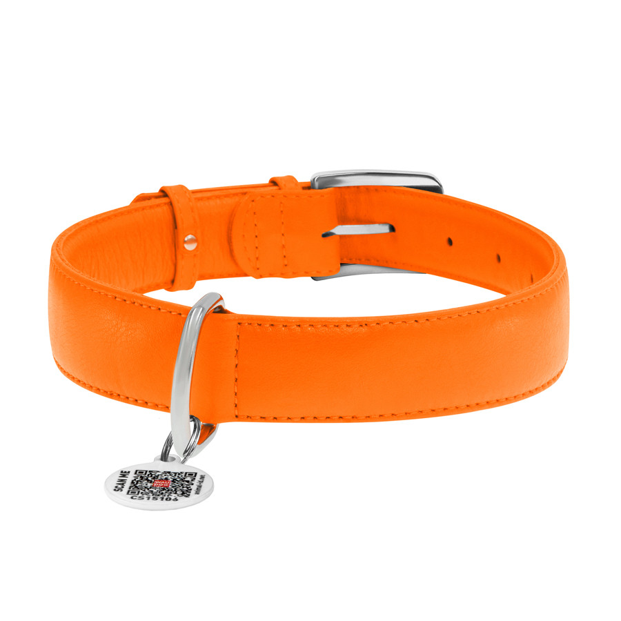 Нашийник для собак шкіряний WAUDOG Glamour з QR паспортом, без прикрас, XL, Ш 35 мм, Дов 46-60 Коломыя - изображение 3
