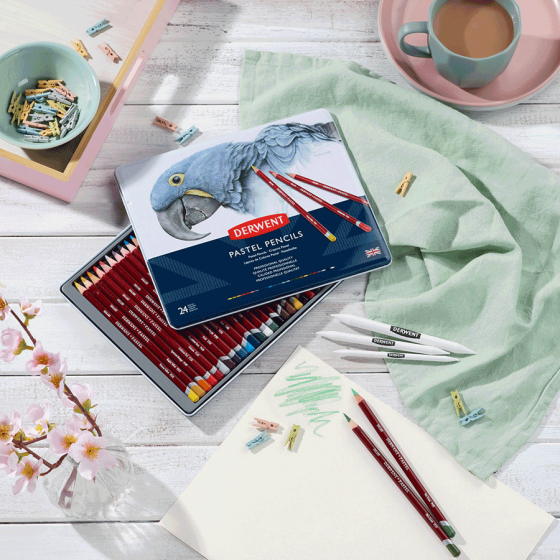 Пастельные карандаши Pastel 24кол Derwent Киев