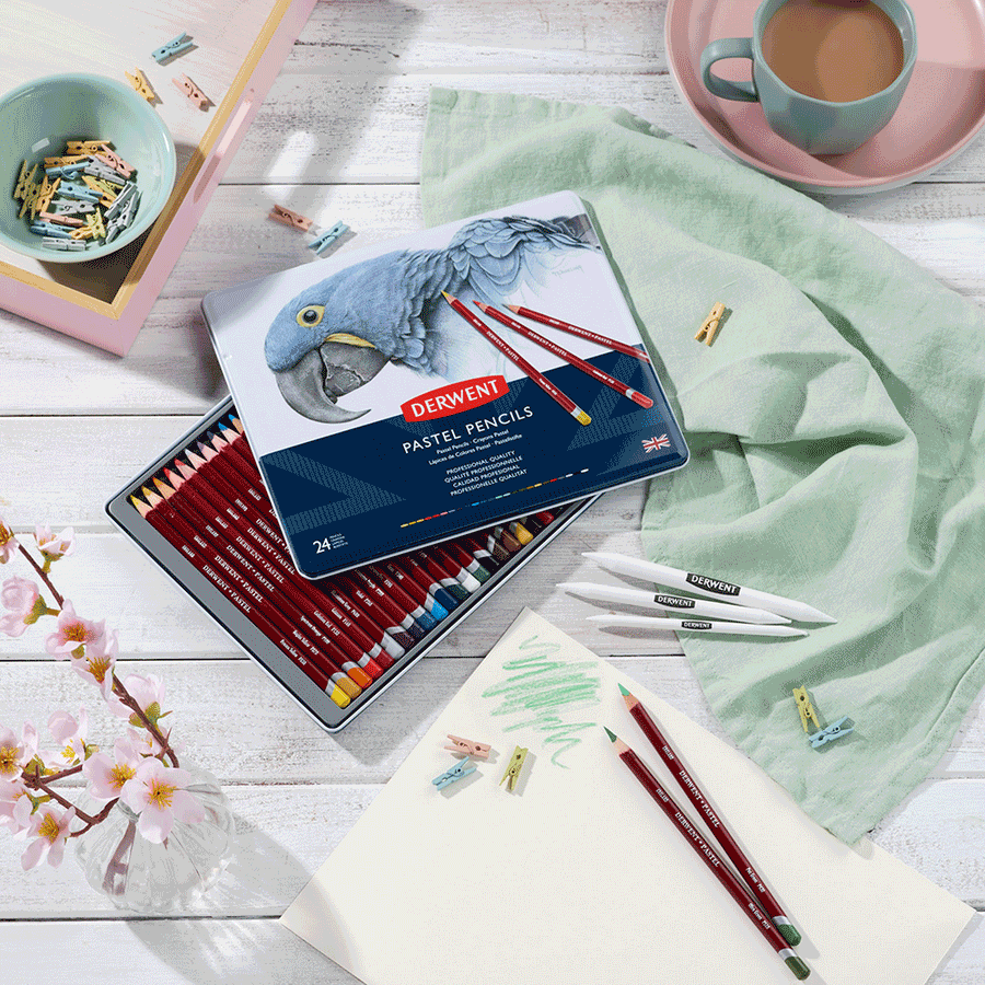Пастельные карандаши Pastel 24кол Derwent Киев - изображение 3