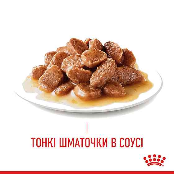 Вологий корм для дорослих котів ROYAL CANIN HAIRBALL CARE 0.085 кг Київ