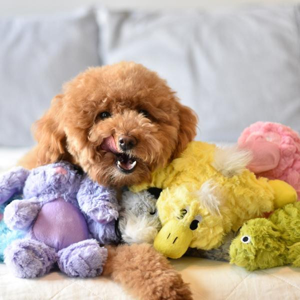 Іграшка для собак Patchwork Pet Platypus (Печворк Пет качкодзьоб) 200 Запоріжжя - фото 3