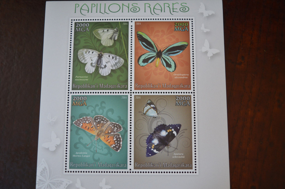 Мадагаскар. Фауна. Личности. Блок. (А-35) Полтава - фото 1