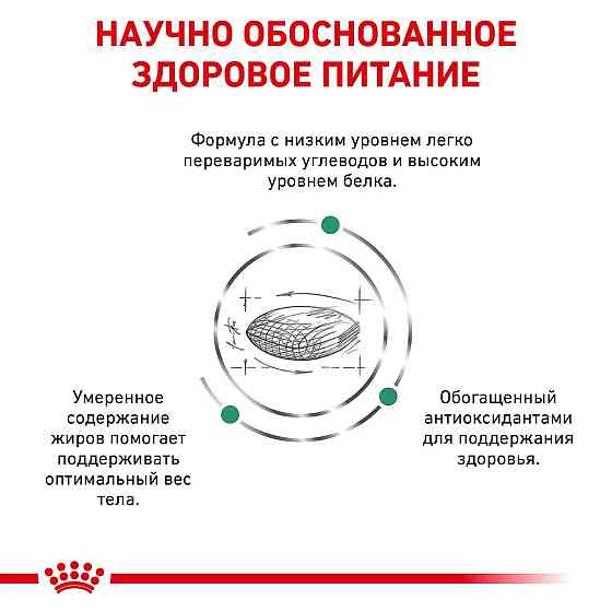 Royal Canin Diabetic (Рояв Канін Діабетик Фелін) сухий корм для кішок при цукровому діабеті 1.5 кг. Запоріжжя