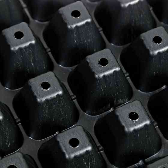 Касета для розсади 54*28 см 98 комірки Дніпро