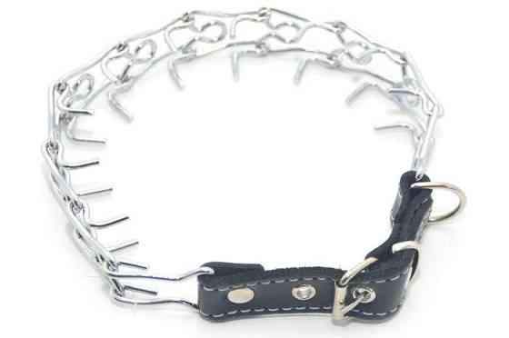 Строгий нашийник хром ХЖК №2 Лорі Вінниця