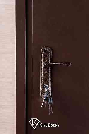 Двери Металл/ДСП, Шагрень 8017 снаружи, внутри ДСП 16 мм, коробка 60 мм, полотно 50 Киев