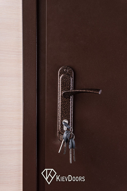 Двері Метал/ДСП, Шагрень 8017 зовні, всередині ДСП 16 мм, коробка 60 мм, полотно 50 Київ - фото 2