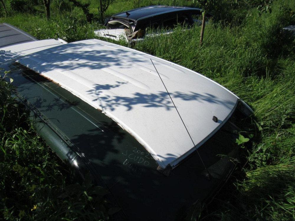 Дах Renault Kangoo 2008-2015 Ковель - фото 3