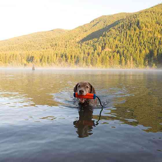 Игрушка апорт на ремне Chuckit! Amphibious Bumper плавучая игрушка для собак, размер S Винница